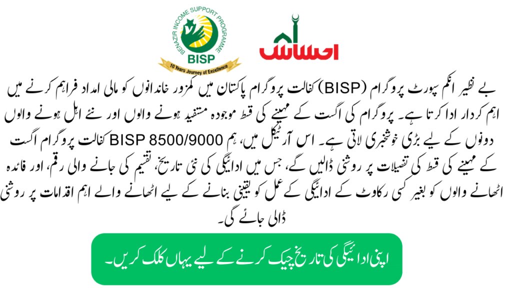 Overview of the BISP Kafalat Program