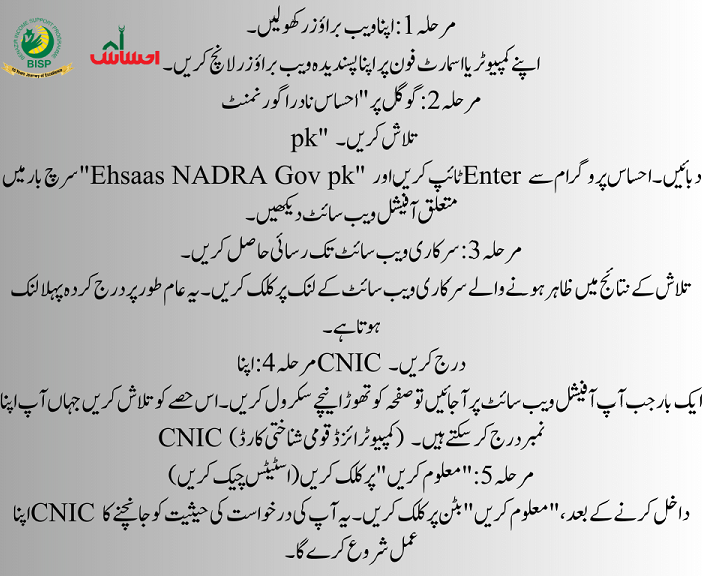 Step-by-Step Guide to Tracking Your Ehsaas Program Application Status