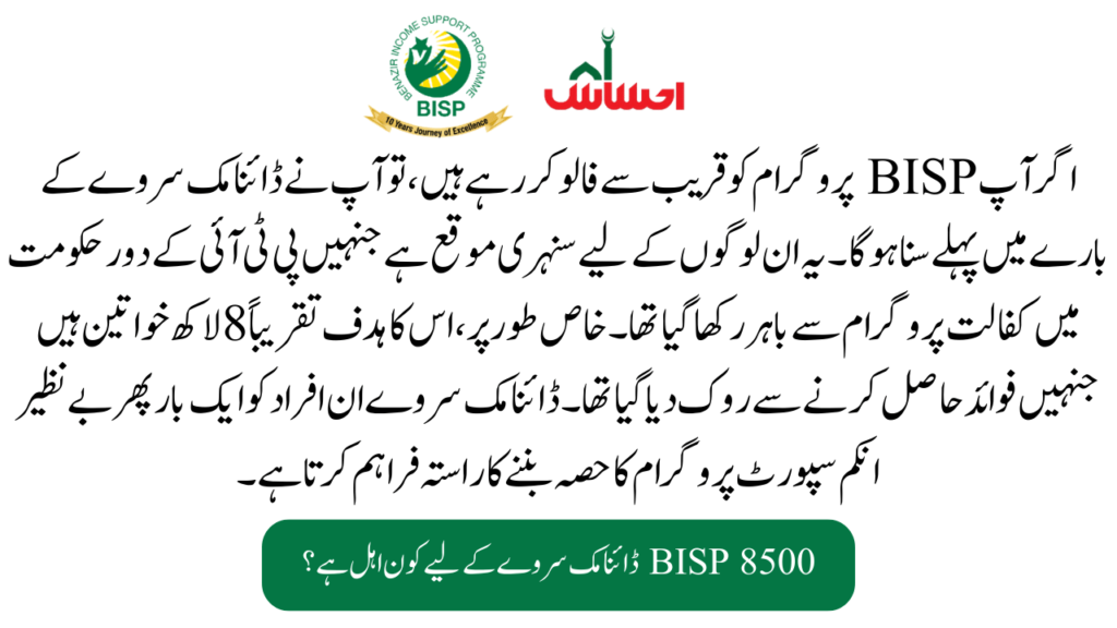 What is the BISP September Dynamic Survey?