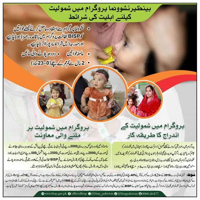 BISP Pregnant Women Program: An Overview