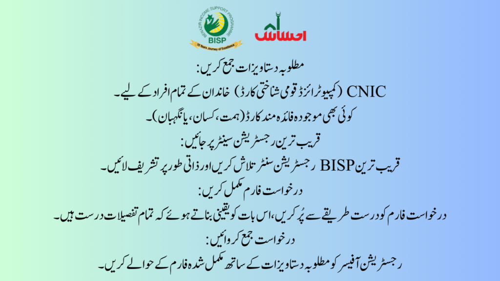 What is the BISP Dynamic Survey?